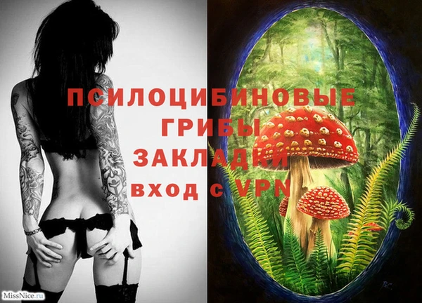 мяу мяу мука Беломорск