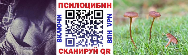 это формула  Высоковск  Галлюциногенные грибы прущие грибы 